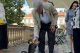 На колишнього президента Ющенка напав кіт львівського голови (відео)