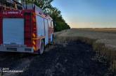 На Миколаївщині горіли поля з урожаєм: ситуація із пожежами за добу