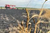 Вражеские атаки на Николаевскую область: горело поле с пшеницей