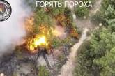 Військові моряки показали, як знищили ворожу гармату у Миколаївській області (відео)