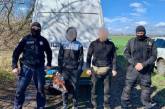 Мешканець Вознесенська організував банду «чорних лісорубів»: викрили під час знищення лісосмуги