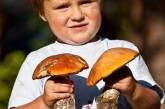 На Николаевщине 13-летний мальчик отравился грибами