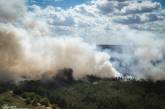 На Миколаївщині продовжують гасити ліс: вогонь перекинувся на село, горіли будинки