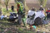 В Николаевской области "Renault" врезался в дерево - погибло 4 человека
