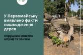 В Первомайске уничтожили деревья: нарушитель уже все оплатил