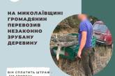 Під Миколаєвом упіймали чергового дроворуба: впаяли штраф