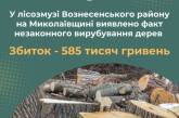 У лісах Вознесенського району браконьєри нарубали дерев на півмільйона