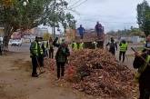 Утримання зелених зон Інгульського району: витратить понад 15 мільйонів