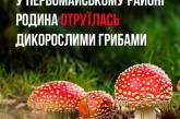 У Миколаївській області сім'я отруїлася грибами — троє людей у ​​тяжкому стані