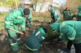 В Николаеве работники сразу пяти ведомств высаживали тополя, можжевельник и гибискусы 