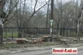 В Николаеве из парка Петровского «выпадают» деревья и пугают прохожих