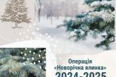 Операція «Новорічна ялинка»: у Миколаївській та Одеській областях анонсовано рейди