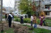 Общественная организация «Наш город» провела серию акций по посадке деревьев совместно с жителями