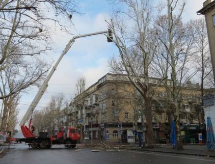 Скандал на Соборній у Миколаєві через обрізання дерев: втрутилися депутат та поліція (відео)