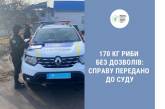 У Миколаєві зупинили автомобіль, який перевозив 170 кг живої риби