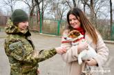 У собаки, що прибився до миколаївських поліцейських, тепер новий господар