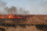 Пожар на Кинбурнской косе охватил 200 гектаров заповедных земель