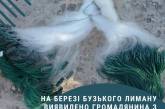 На Миколаївщині оштрафували рибалку: використовував заборонене знаряддя