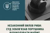 200 тысяч гривен за незаконный лов рыбы с жителя Николаевщины пришлось взимать через суд