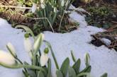 Вночі мороз, вдень до +5°: синоптики розповіли про погоду у Миколаєві та області у вівторок