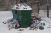 Из-за снега в Николаеве перестали вывозить мусор