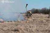 В Николаевской области поджигатели устроили 12 пожаров