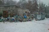 Зима пришла: на Водопое две недели не вывозят мусор