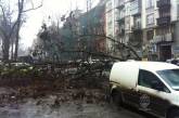 В центре Одессы дерево расплющило машину, забитую людьми ФОТО ВИДЕО