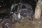 25-летний водитель за рулем Chevrolet, врезавшись в дерево, погиб на месте ДТП
