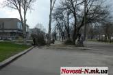 Помощник херсонского депутата без разрешения пилит деревья в центре Николаева