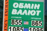 В Николаеве доллар уже продают за 8,85