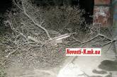 Под покровом ночи неизвестные в Николаеве уничтожают цветущие деревья