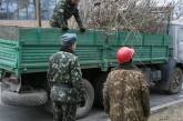 Николаевские десантники вместо боевой учебы грузят ветки на улицах областного центра