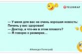 Заряжаемся позитивным настроением: порция веселых шуток на день