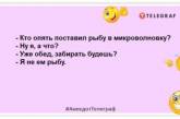 Мужская уборка заканчивается тогда, когда нашлась пропажа: анекдоты на вечер для вашей улыбки (ФОТО)