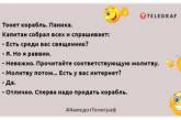 На совести были видны явные следы угрызений: утренние анекдоты для хорошего настроения (фото)