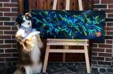 Собака-художник заработала на собственных картинах 20 тысяч долларов (ВИДЕО)
