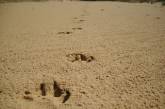 Немецкого туриста засыпало песком на испанском пляже