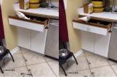 «Навел суету»: попугай провел инвентаризацию на кухне (ВИДЕО) 