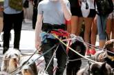 Дэниэл Рэдклифф на съёмках фильма вышел погулять с собаками и стал героем фотошоперов