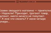 Волна позитива на день: анекдоты, которые подарят вам улыбку (ФОТО)