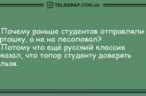 Пускай улыбка не сходит с вашего лица: новые шутки на вечер (ФОТО)