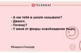 Позитивная пауза рассмешит даже страуса: новые анекдоты для поднятия настроения 