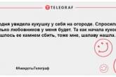 Ударная доза положительных эмоций в этот вечер: порция новых шуток (ФОТО)