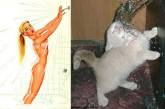 Кошки в образе пинап-девушек (фото)