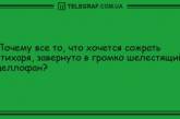 Все, что вам нужно, это хорошее настроение: подборка веселых анекдотов 