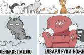 Виды котов в прикольной классификации (ФОТО)