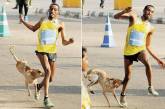 Неудачливый эфиопский бегун проиграл марафон из-за дворняги