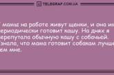 Зарядитесь отличным настроением: новые анекдоты на утро 