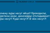 Нет времени для грусти: вечерние анекдоты, которые на дадут вам заскучать (ФОТО)